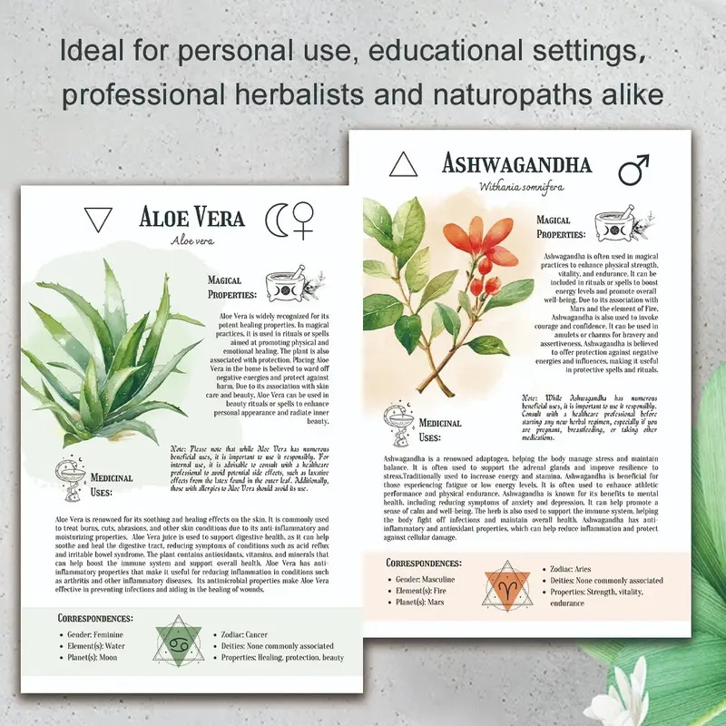 Natural Remedies Handboek met  - Home Office Laptop recensie en prijs