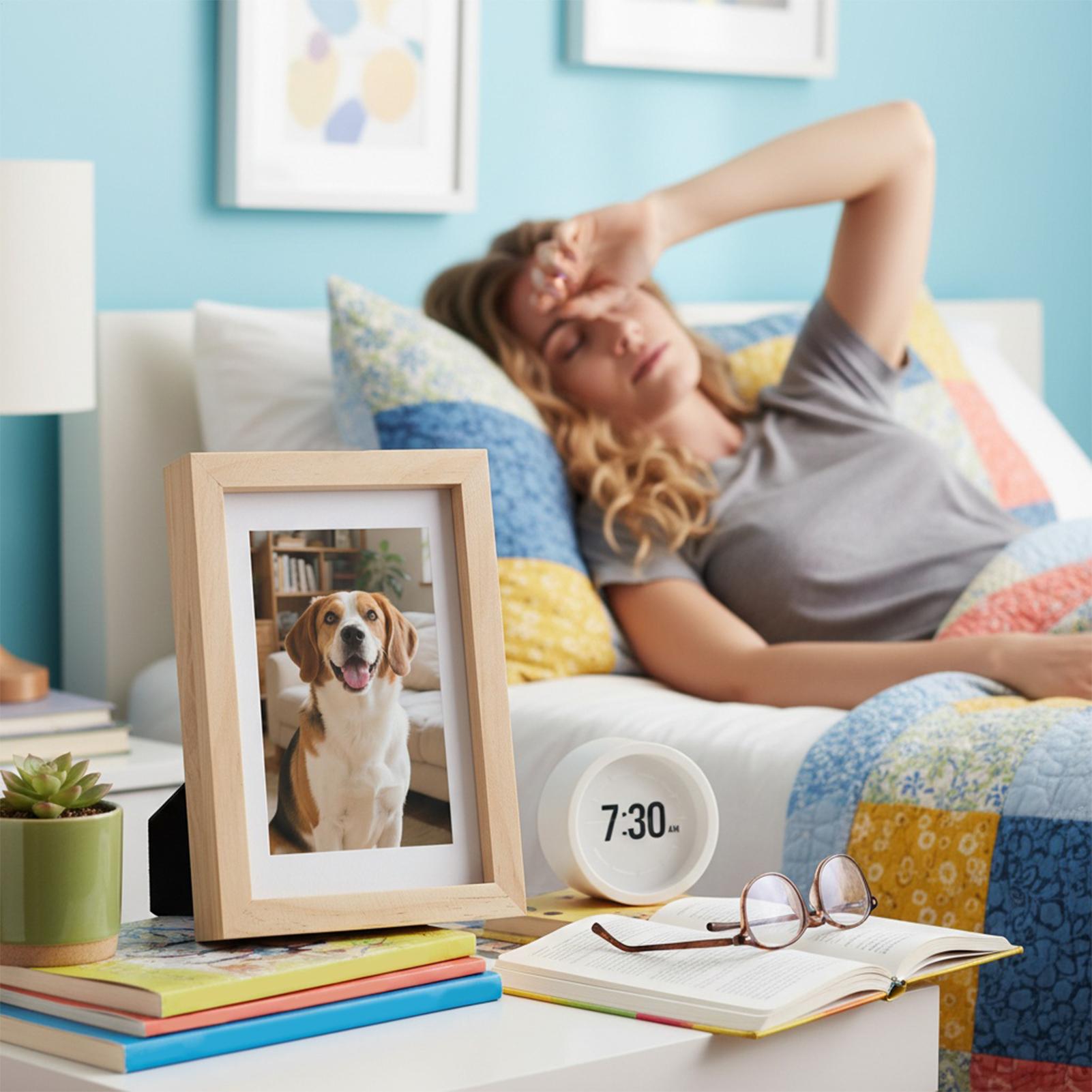 Safe Stash Frame Discrete opsl - Home Office Passport recensie en prijs